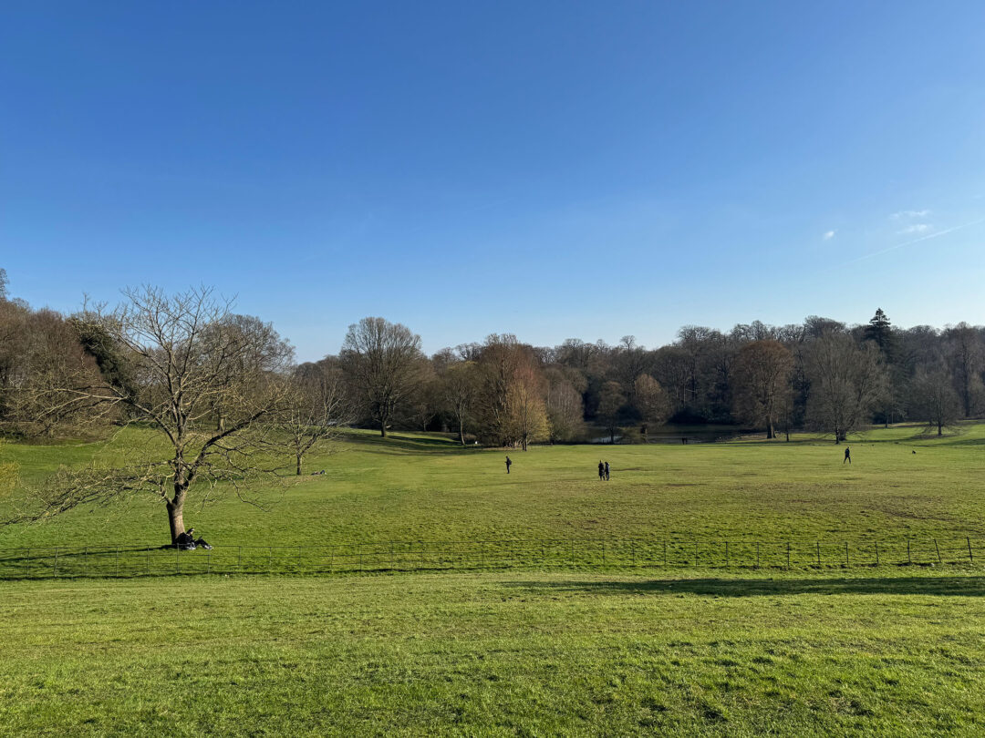 News Article about Hampstead Heath