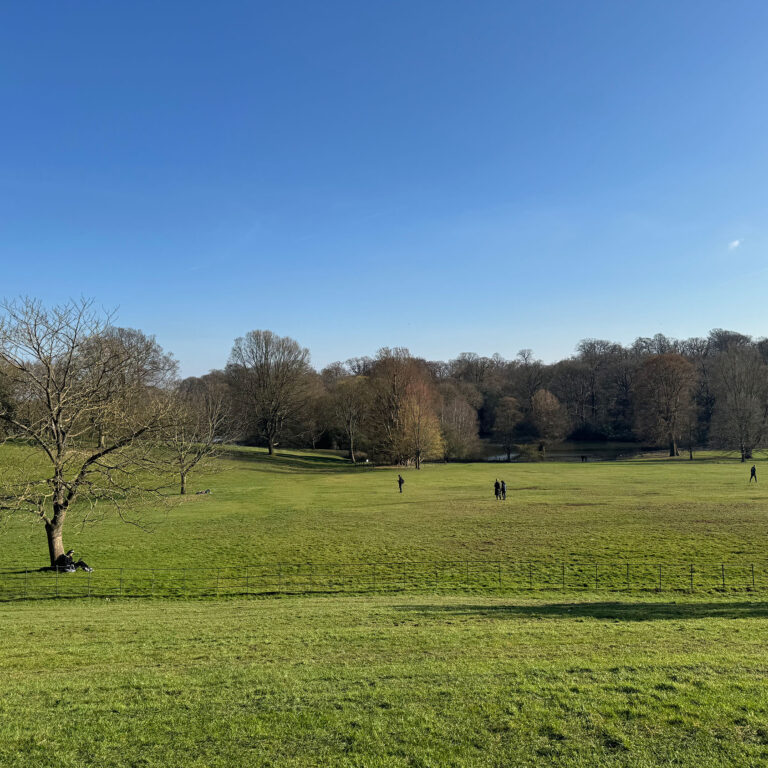 News Article about Hampstead Heath